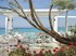 Слика за Grecotel Rhodos Royal 4+